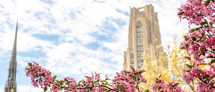 university of pittsburgh essays 2023